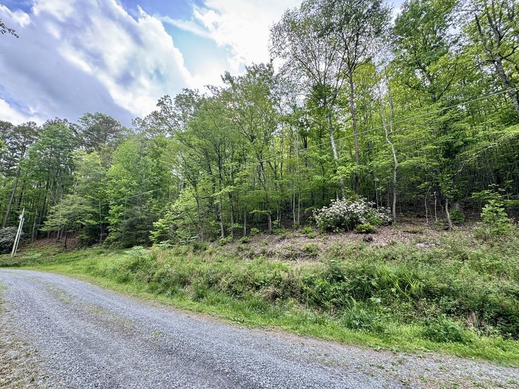 208 Bullen Gap Road