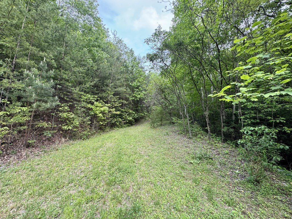 208 Bullen Gap Road