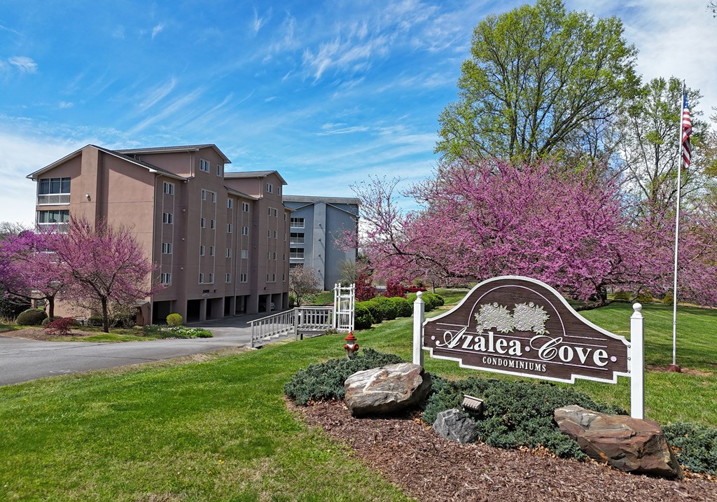 3112 Allison Court