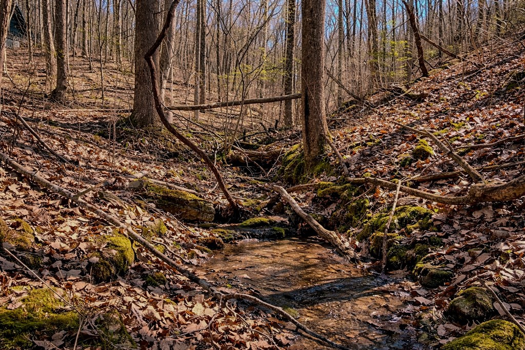 843 Fern Valley Road