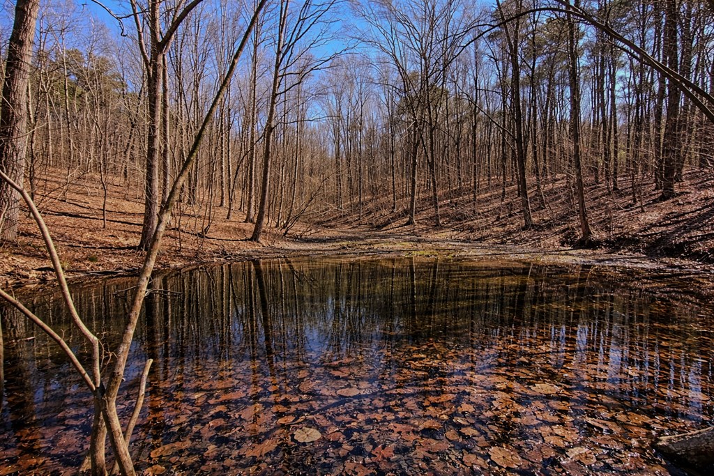 843 Fern Valley Road