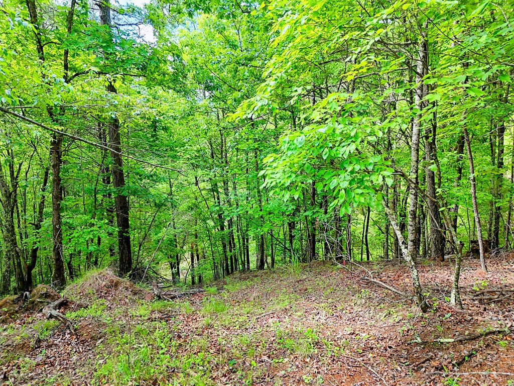 Off Mason Road