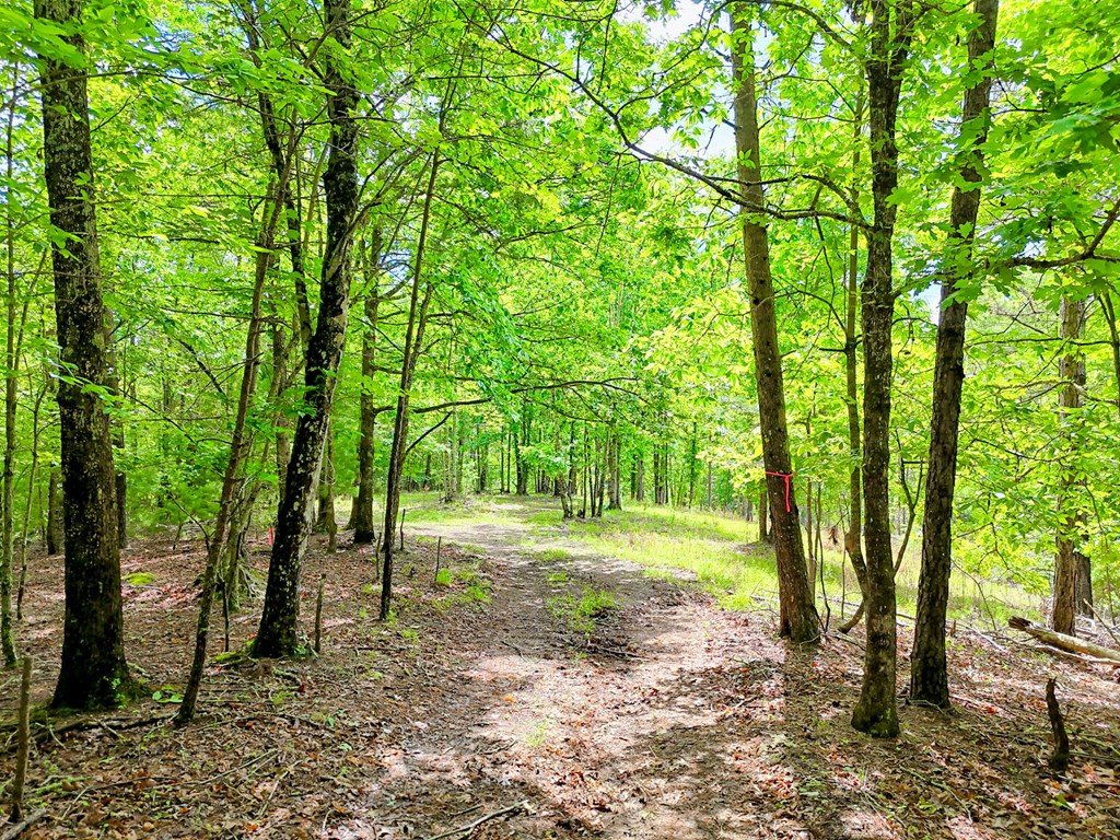 Off Mason Road