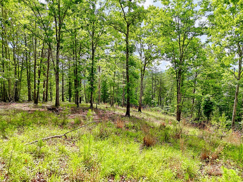 Off Mason Road