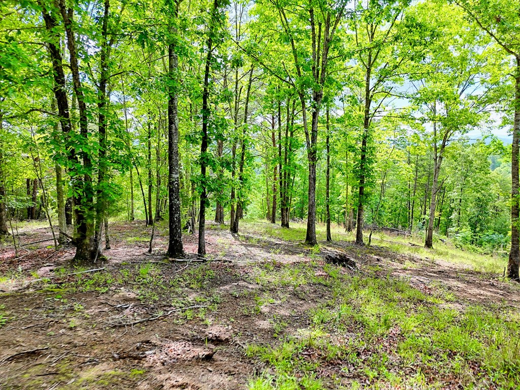 Off Mason Road