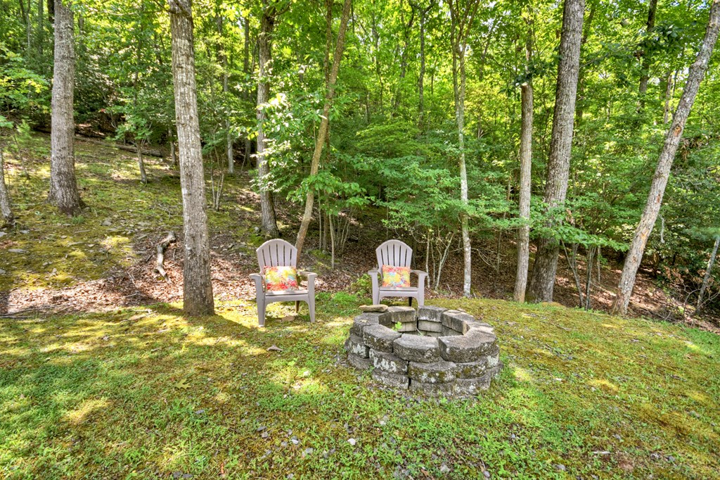 380 Bear Trail