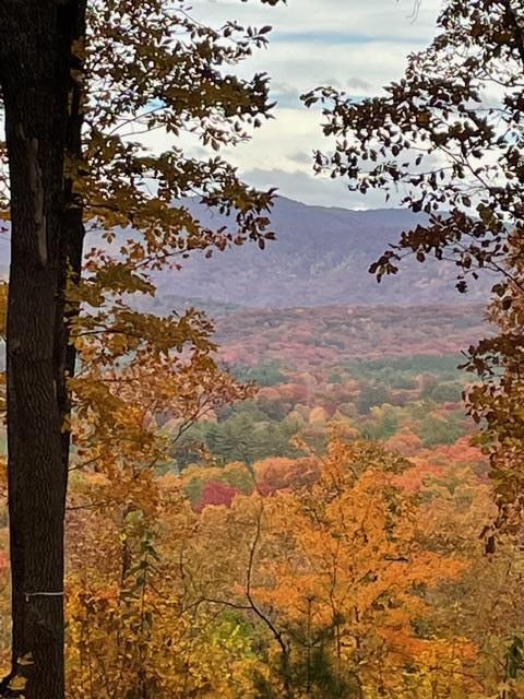 LT 14R Tanager Trail