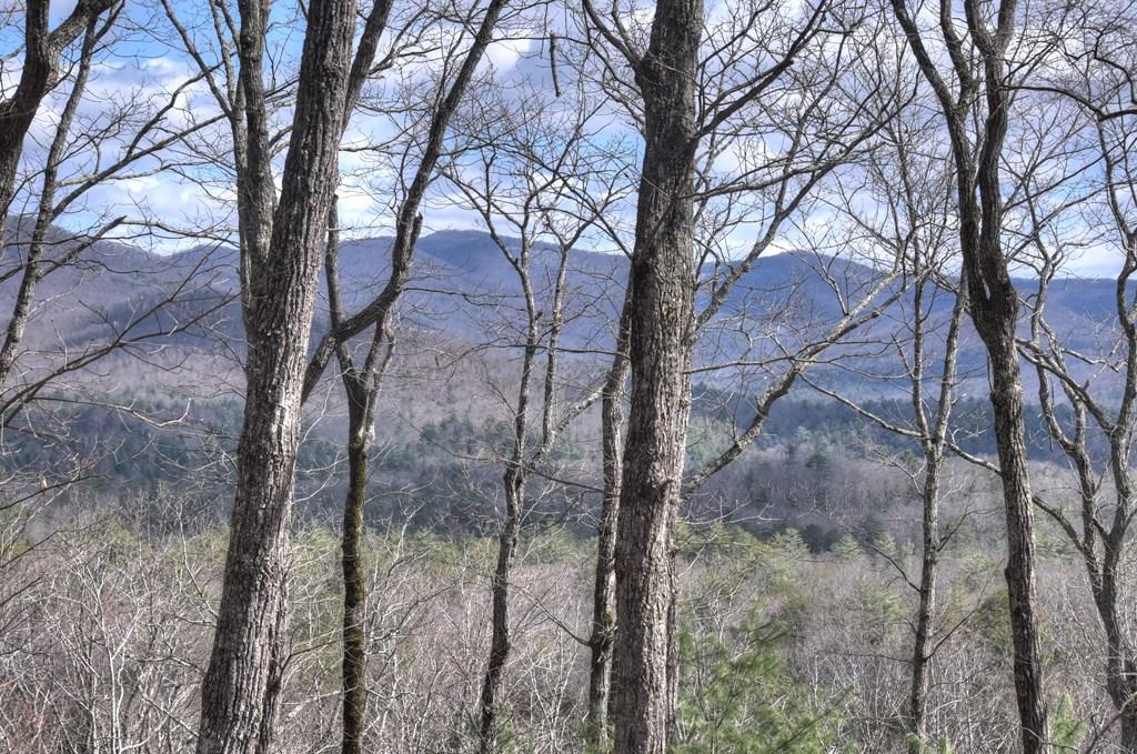 LT 14R Tanager Trail