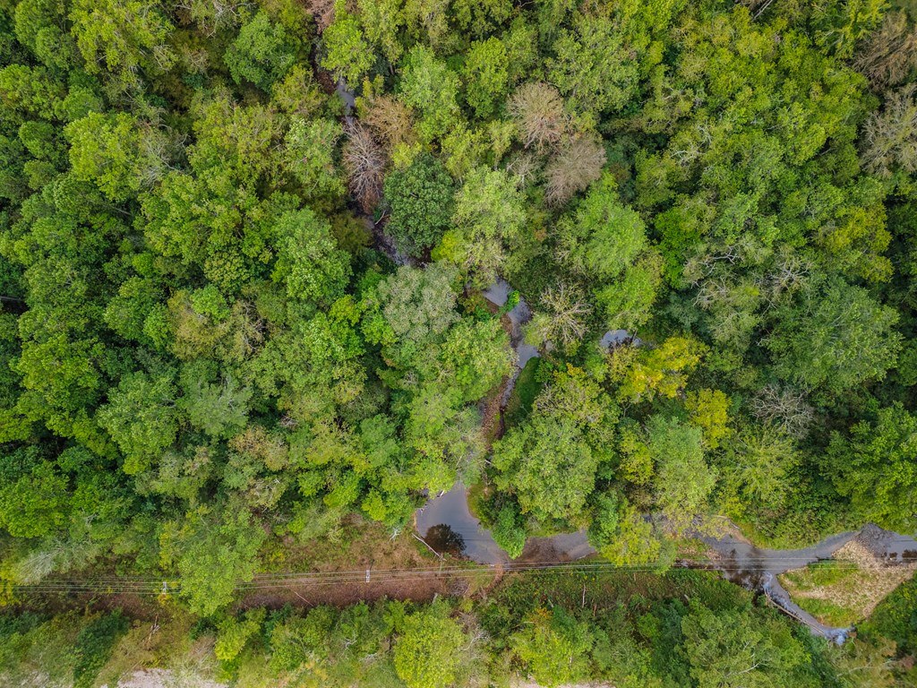 2.09 ac Old Northcutt Road