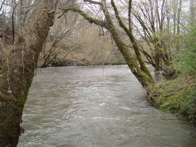 TBD Turkey Walk Drive