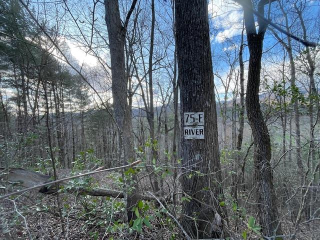 TBD Turkey Walk Drive