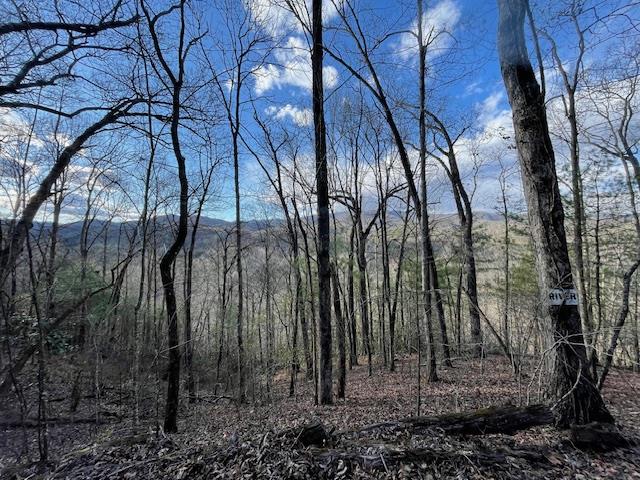 TBD Turkey Walk Drive