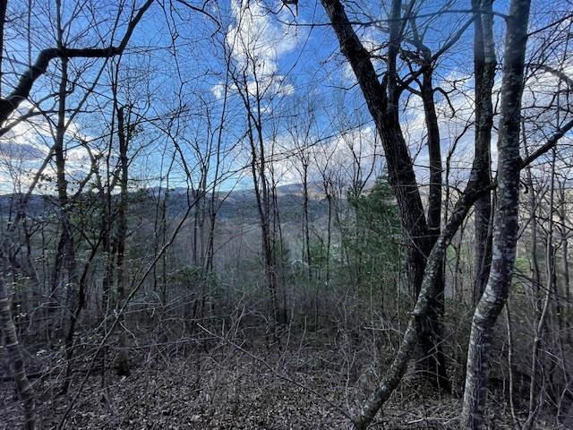 TBD Turkey Walk Drive