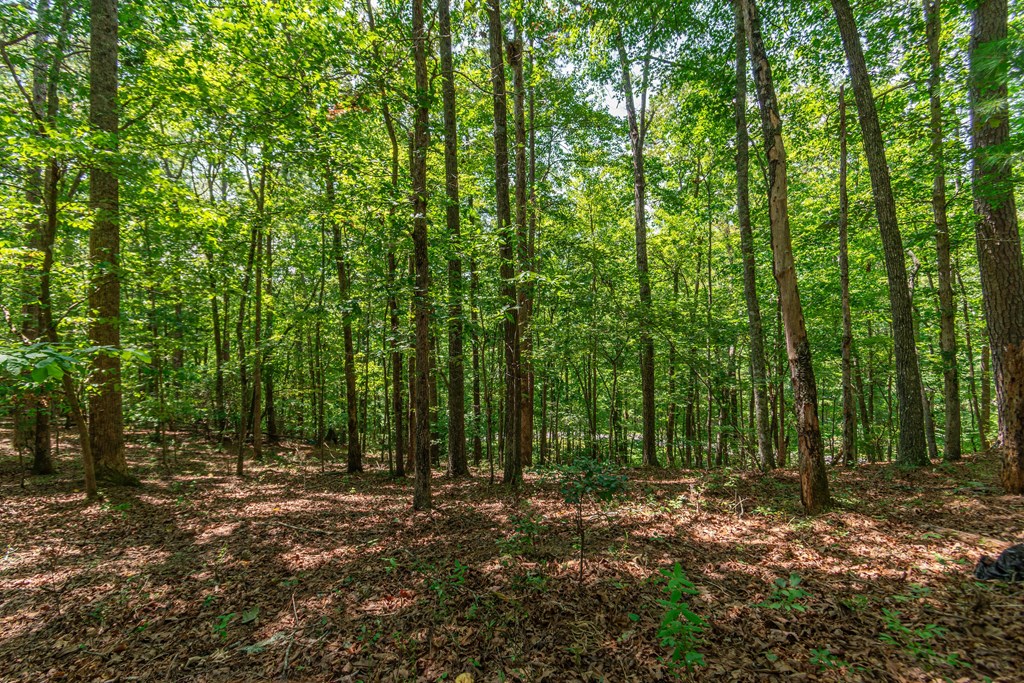 Lot 23 Fox Trail Court