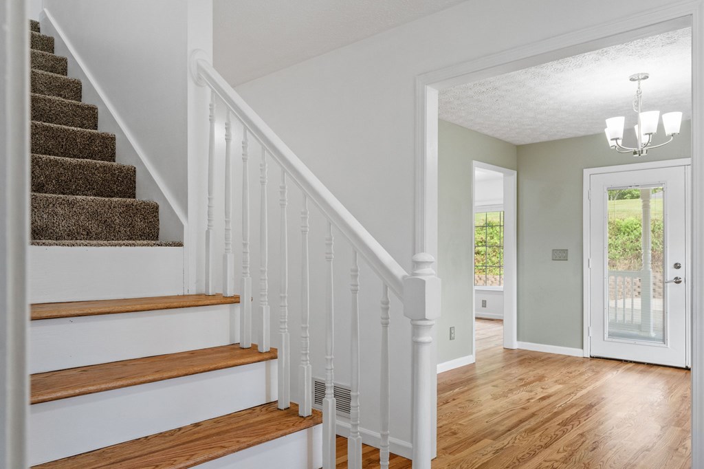 206 Piney Woods Drive