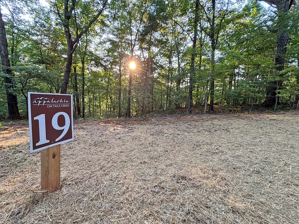 Lot 19 Mt. Springer Road