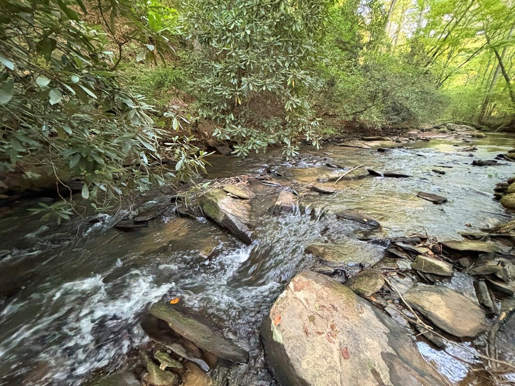 Lot 19 Mt. Springer Road
