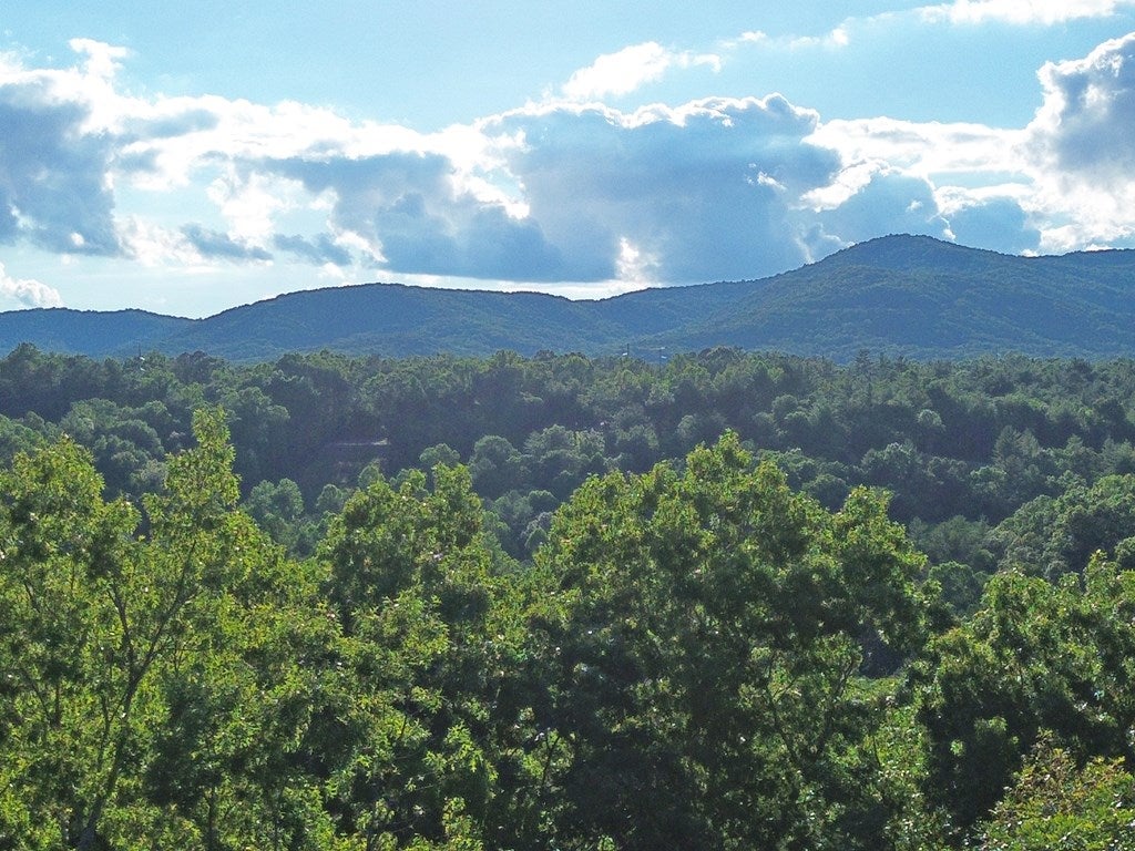 Lot 19 Mt. Springer Road