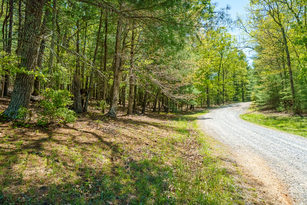 Lot 35 Spring Camp Road