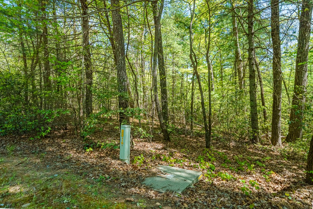 Lot 35 Spring Camp Road