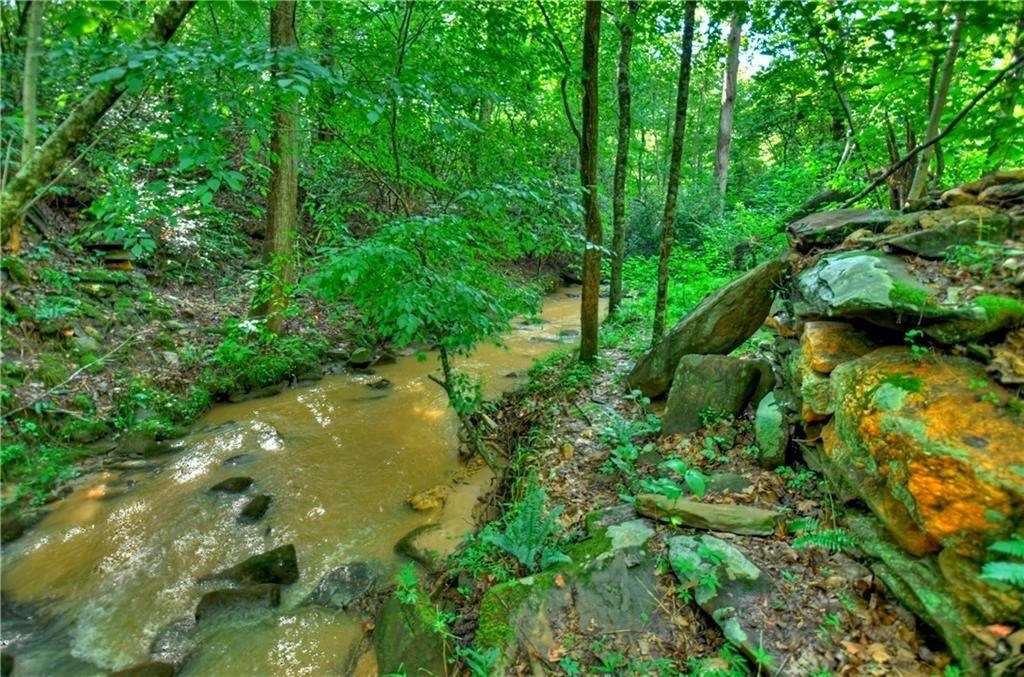 0 Lower Toccoa Hills