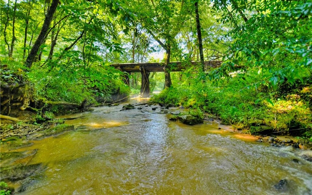 0 Lower Toccoa Hills
