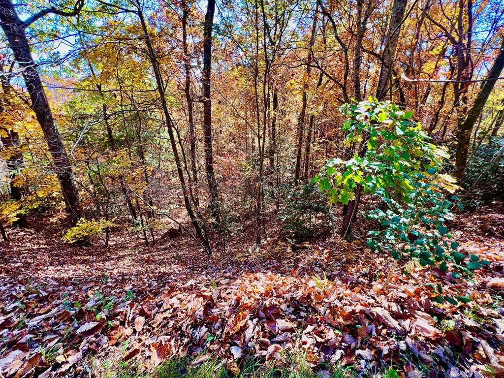 13 Up The Ridge Road