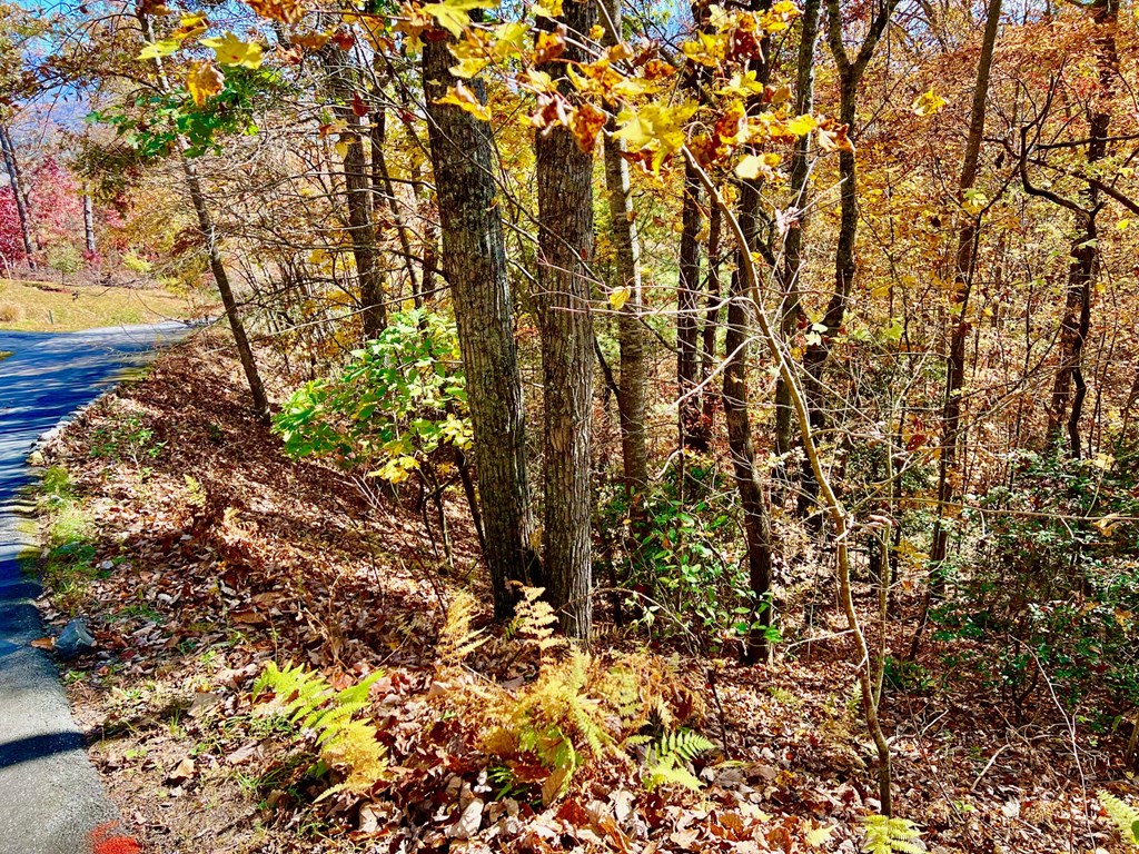 13 Up The Ridge Road