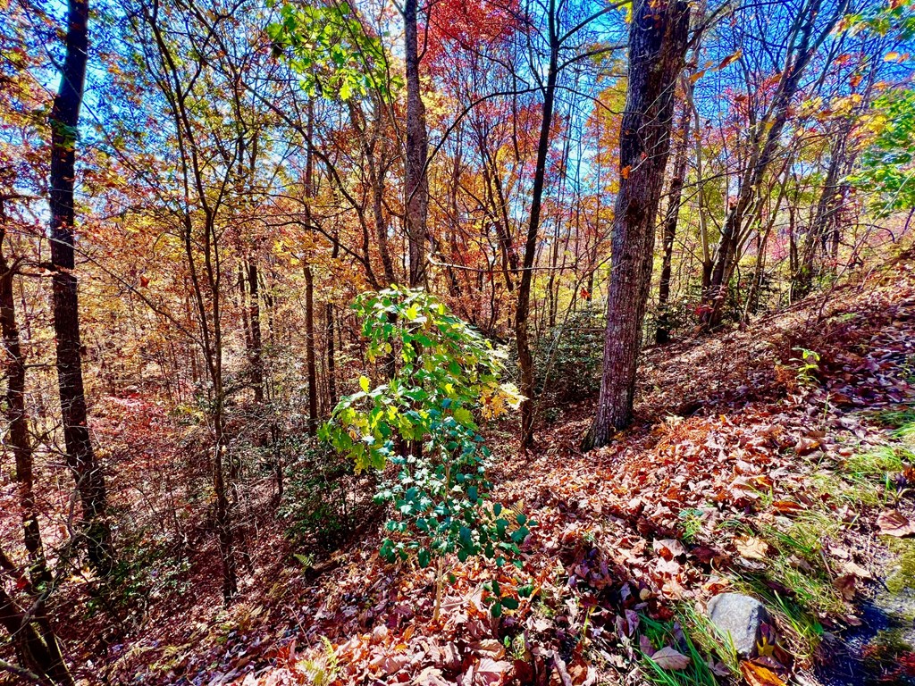 13 Up The Ridge Road