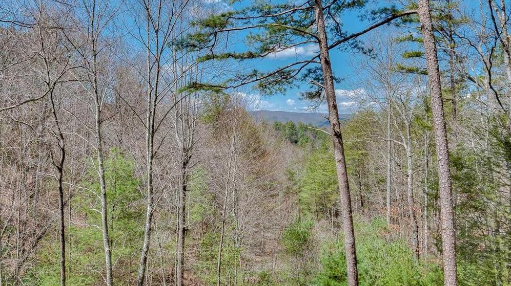 175 White Tail Ridge Road