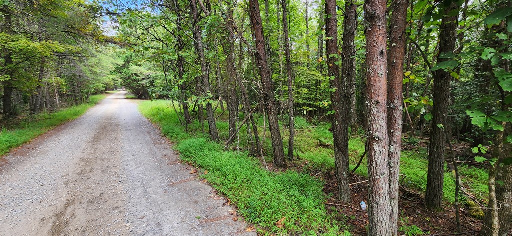 Lot 45 Old Mill Pond Road