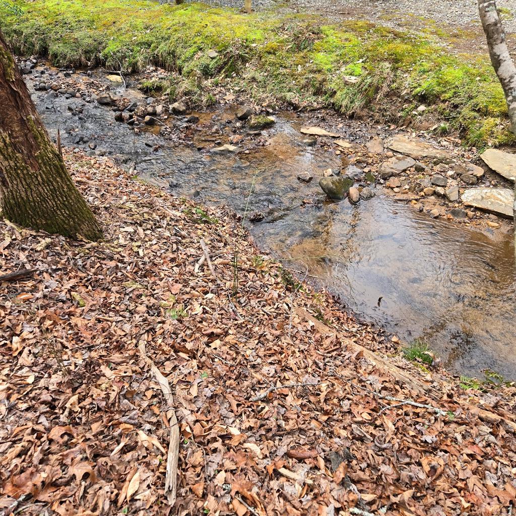 8.5 Blue Berry Ridge