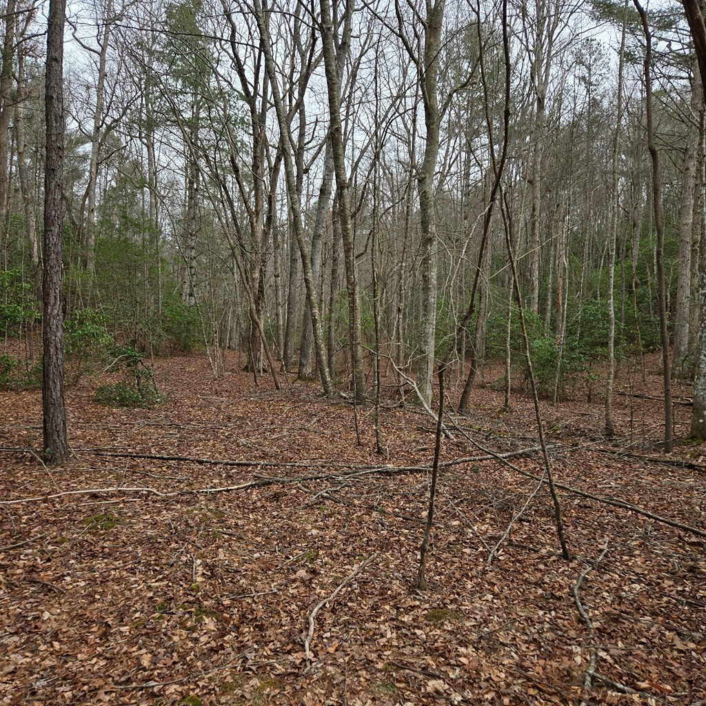 8.5 Blue Berry Ridge