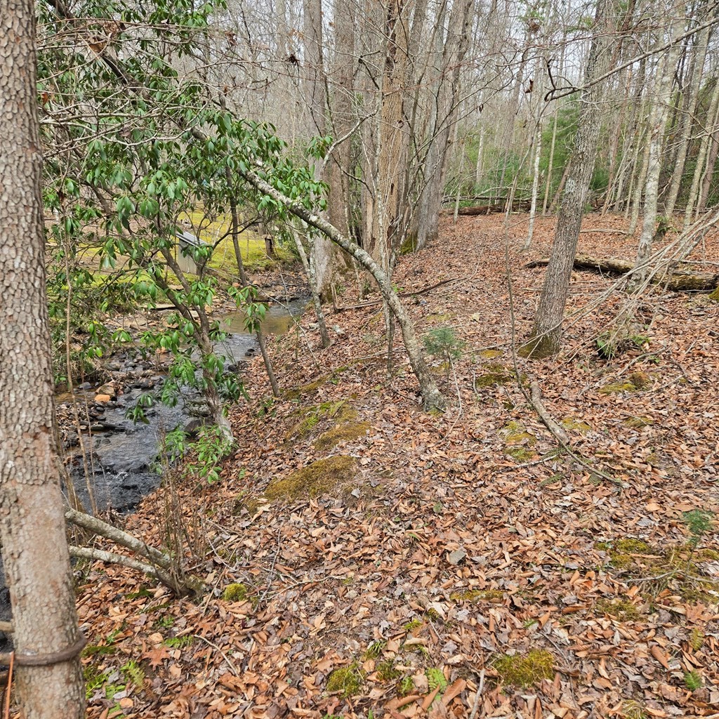 8.5 Blue Berry Ridge