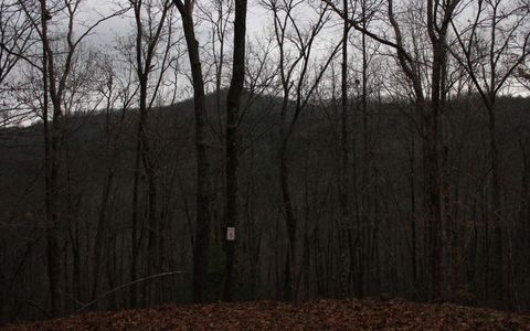 6 Thunder Road Hayesville NC 28904