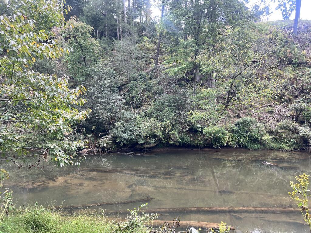 LOT 229 Woodstone Trail