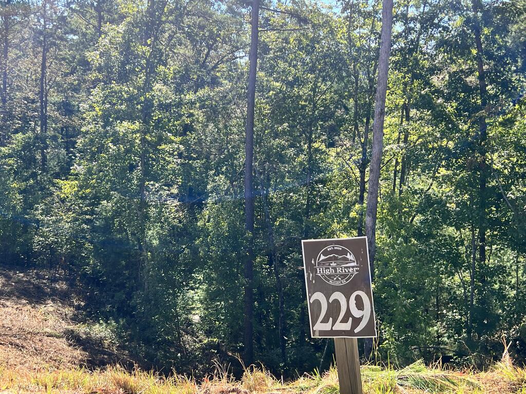 LOT 229 Woodstone Trail
