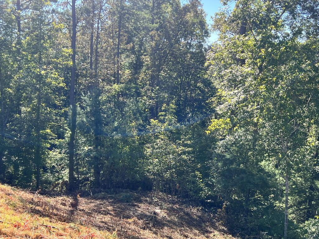 LOT 229 Woodstone Trail