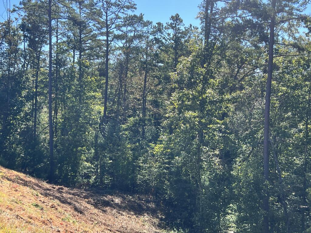 LOT 229 Woodstone Trail