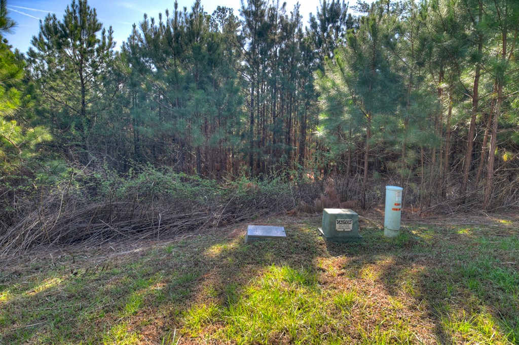 LOT 233 Ridge Pointe Way