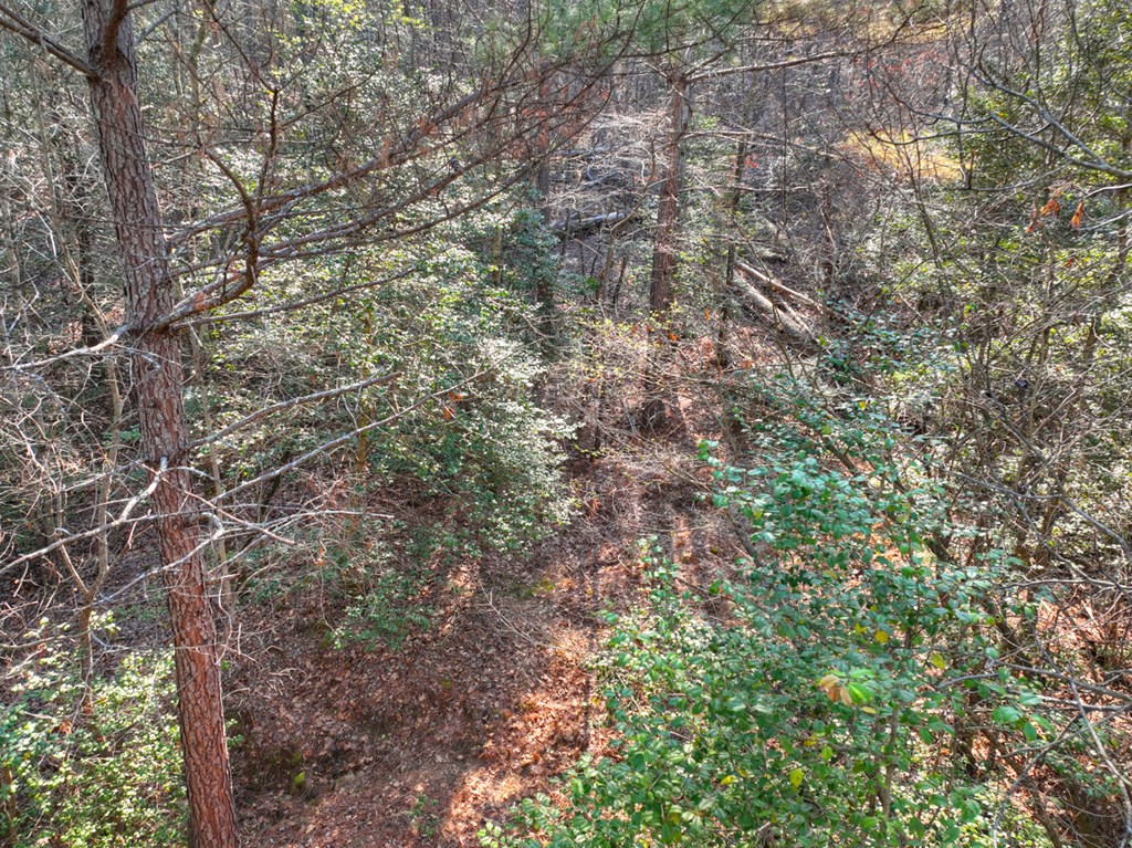 LOT 233 Ridge Pointe Way