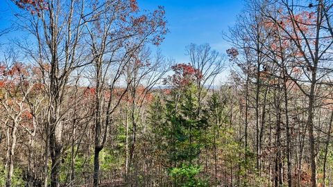 A home in Ellijay