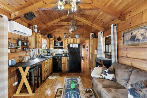 A home in Ellijay