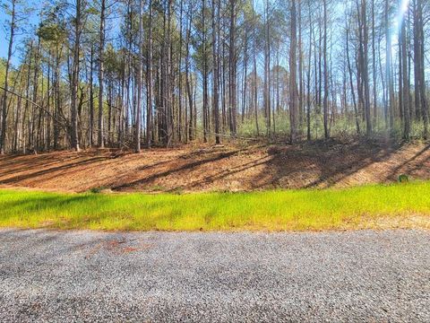 68 Mountaingate Way Ellijay GA 30536