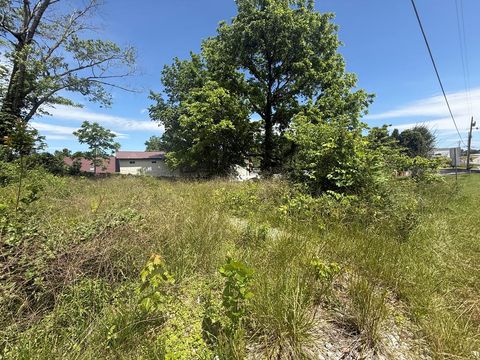 LT 19 E Second Street Blue Ridge GA 30513