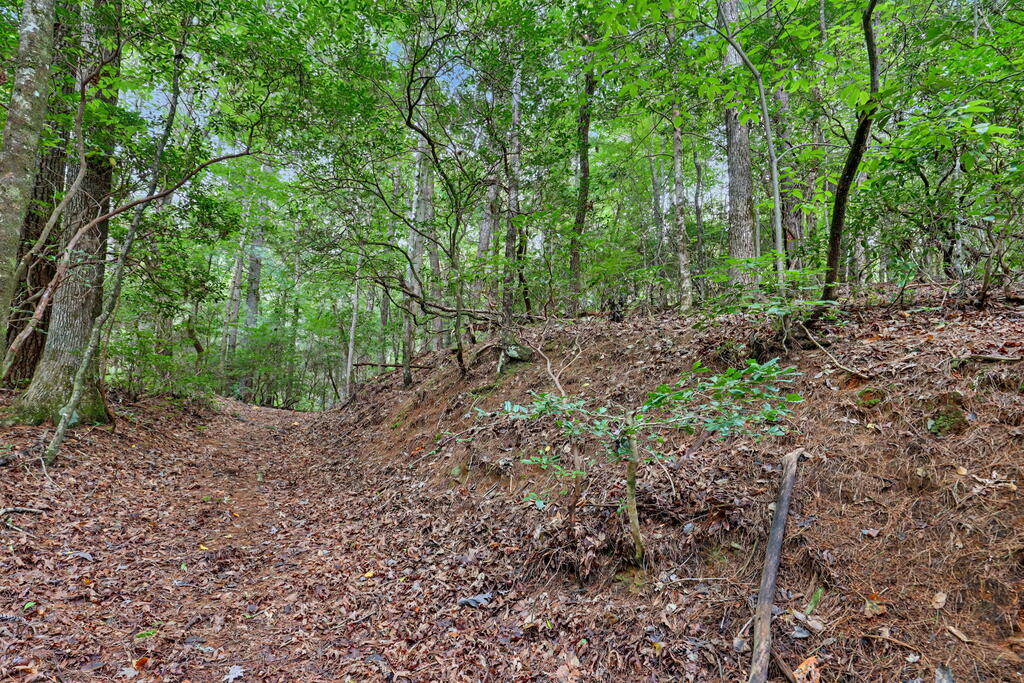 5.922 Ac Fisher Field Road