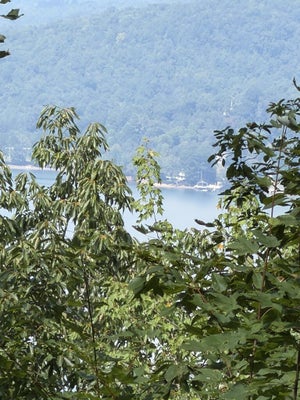 55 EAGLES VIEW RD, HAYESVILLE, NC 28904 - Image 862e2d09ca6c70bb571f1c1e8c55deaa/1080832442