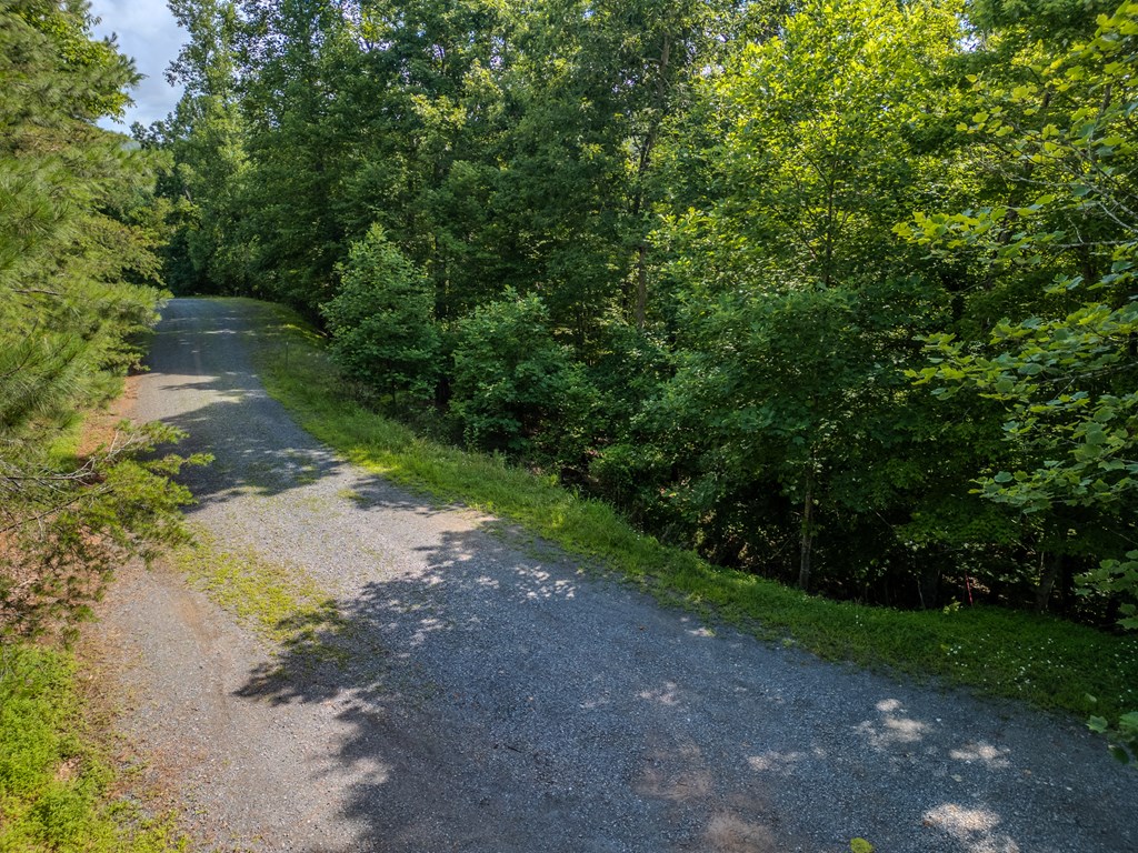 Lot 26 Toccoa Preserve