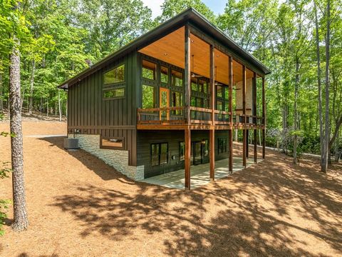 221 Goldmine Road Morganton GA 30560