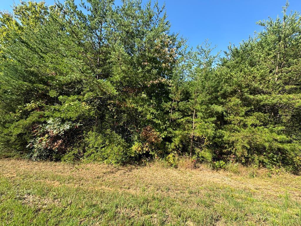 283 Golden Eagle Circle